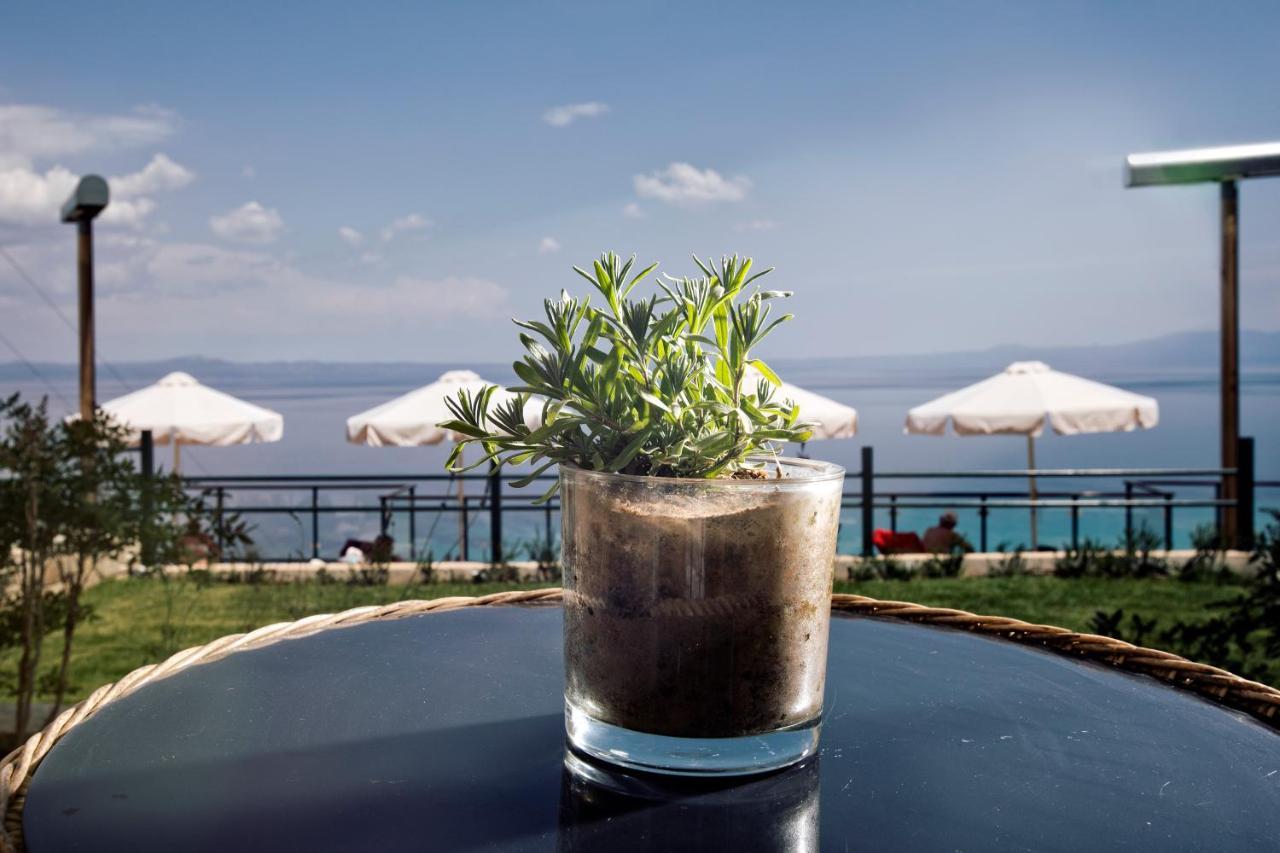 Rigas Boutique Hotel & Spa Afytos Exterior photo